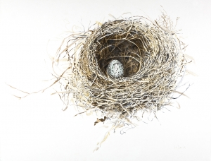 Nest Farthingfeather Small Print