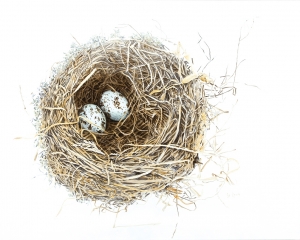 Nest Jacquimo Small Print