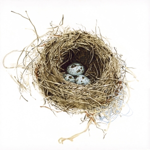 Nest Kirrick Small Print