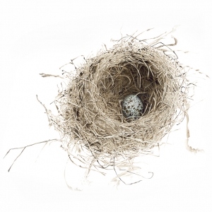 Nest Norville Small Print