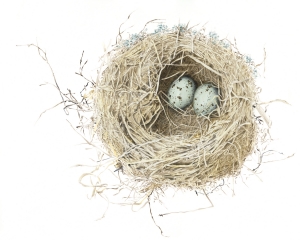 Nest Ocarina Small Print