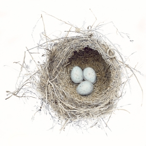 Nest Perta Small Print