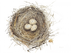 Nest Quaquail Small Print