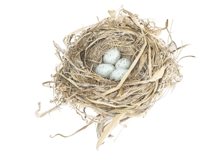 Nest Urraca Small Print