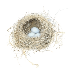 Nest Woodstock Print