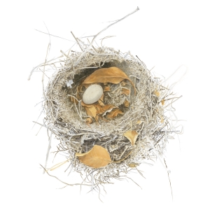 Nest Xantu small print